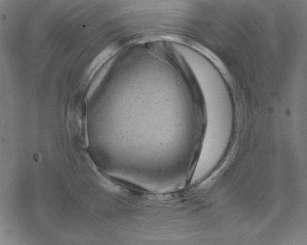 X0000077380809200611101728