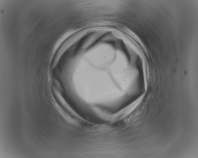 X0000077380811200611101728