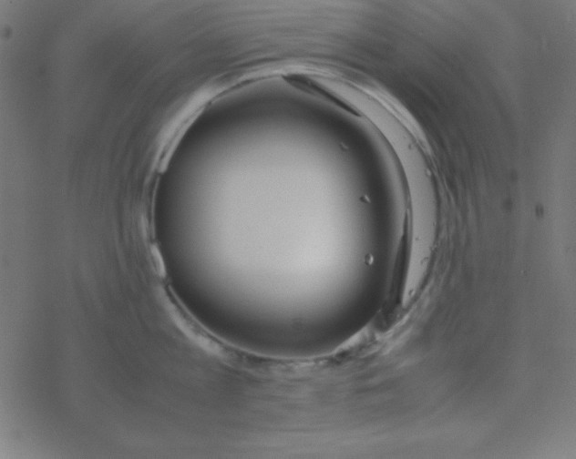 X0000077380813200611101728