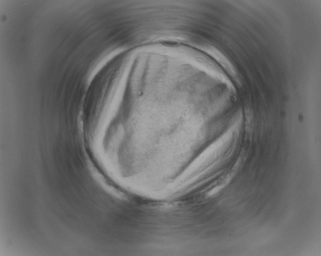 X0000077380814200611101728