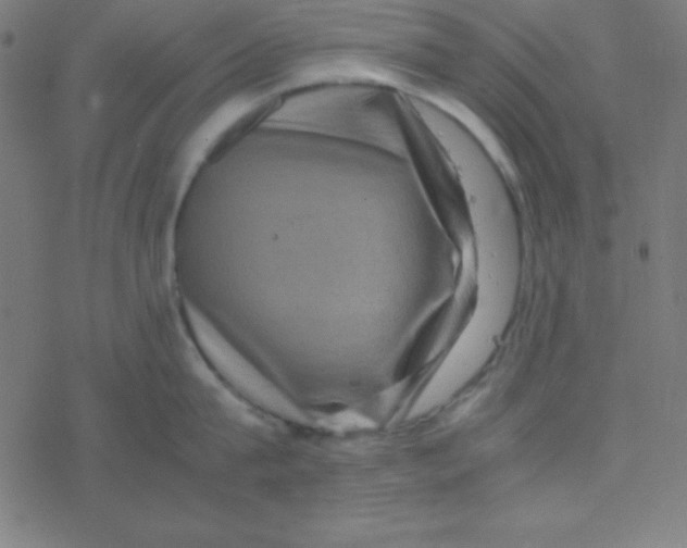 X0000077380815200611101728