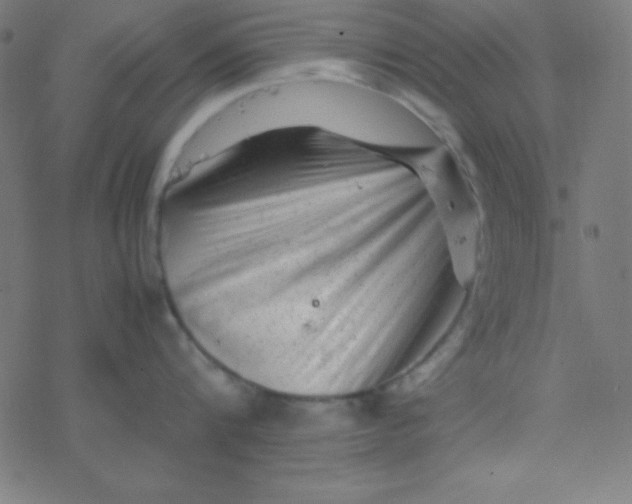 X0000077380816200611101728