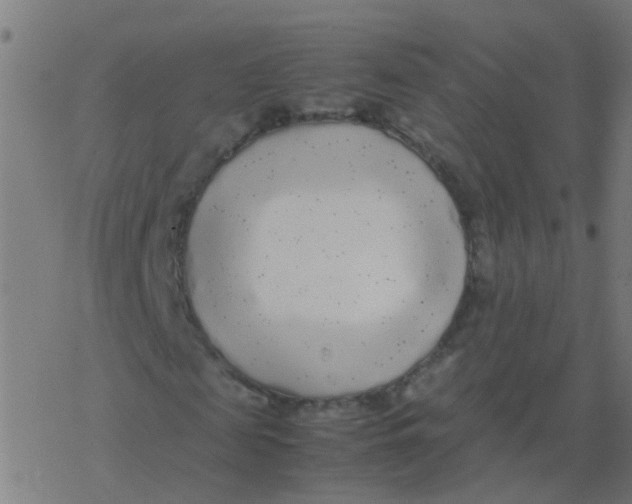 X0000077380817200611101727