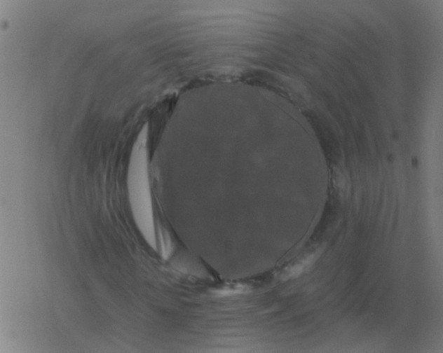 X0000077380818200611101727