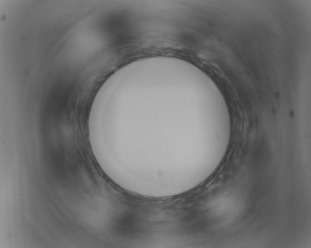 X0000077380820200611101727