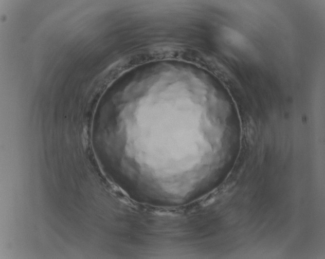 X0000077380821200611101727