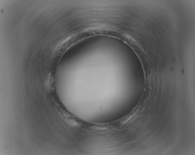 X0000077380822200611101727