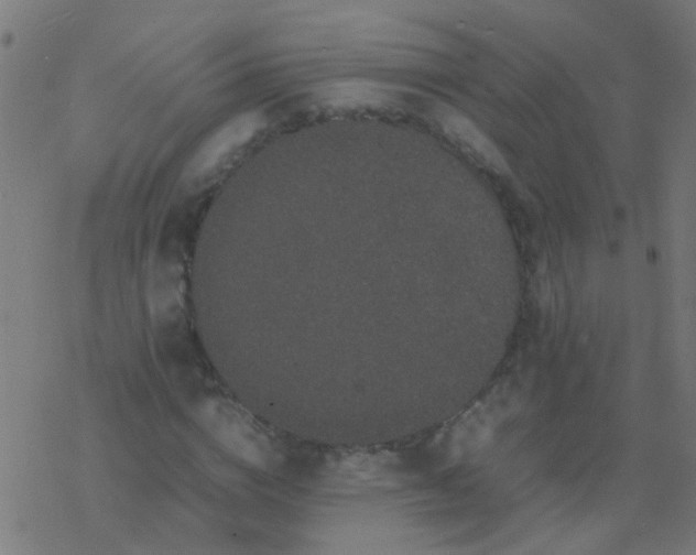 X0000077380824200611101727