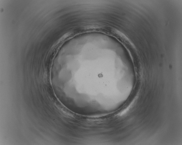 X0000077380825200611101727