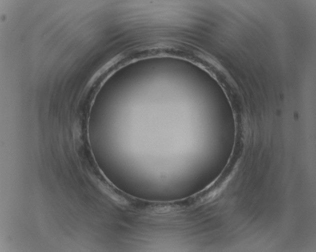 X0000077380826200611101727