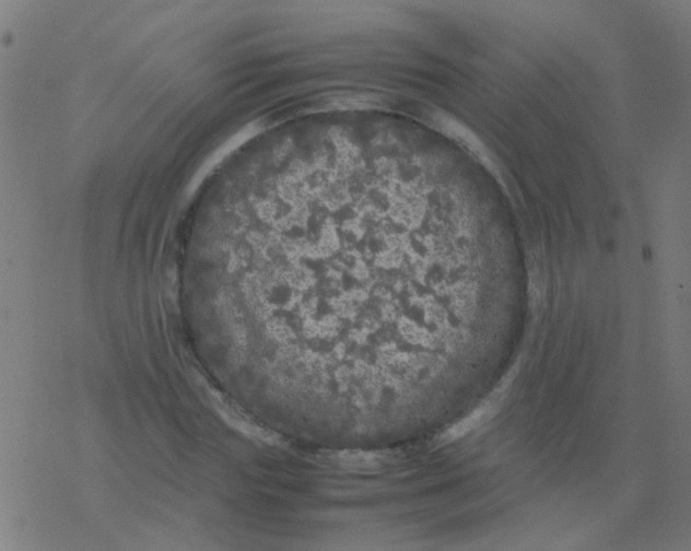 X0000077380827200611101727