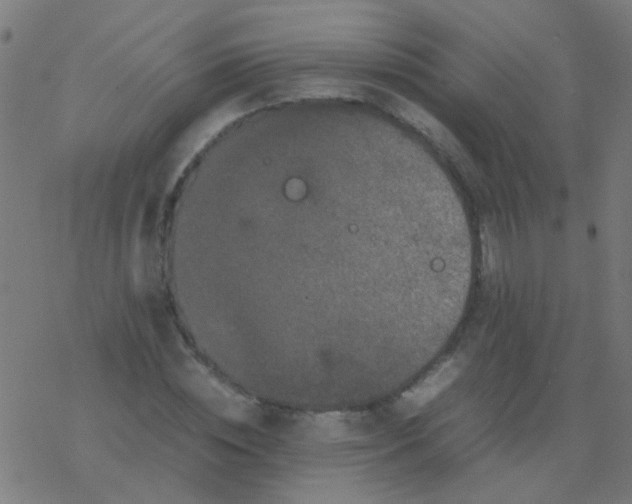 X0000077380828200611101727