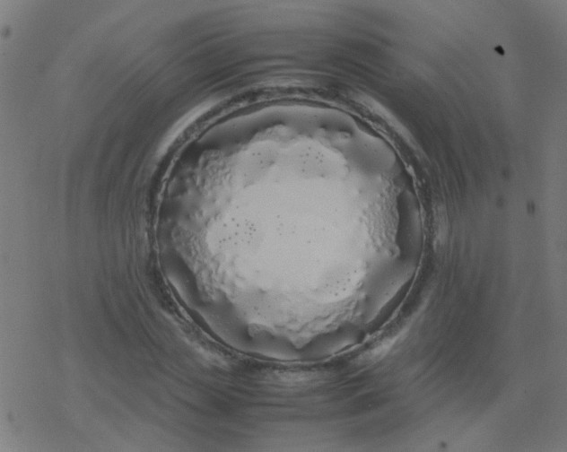 X0000077380829200611101727