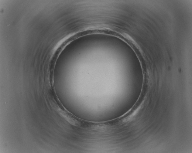 X0000077380830200611101727