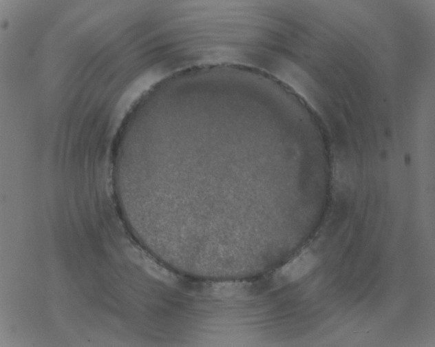 X0000077380832200611101727