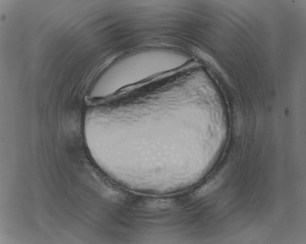 X0000077380833200611101727