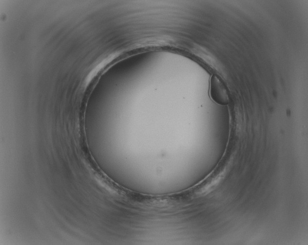 X0000077380834200611101727