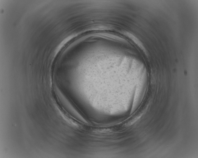 X0000077380837200611101727