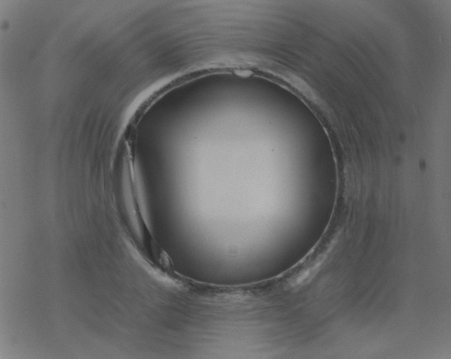 X0000077380838200611101727