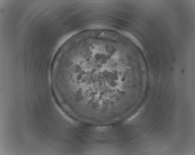 X0000077380839200611101727