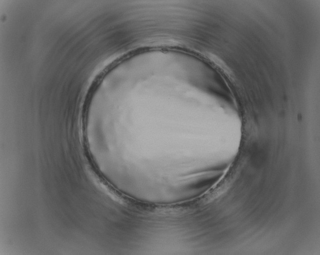 X0000077380840200611101727