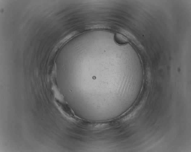 X0000077380841200611101727