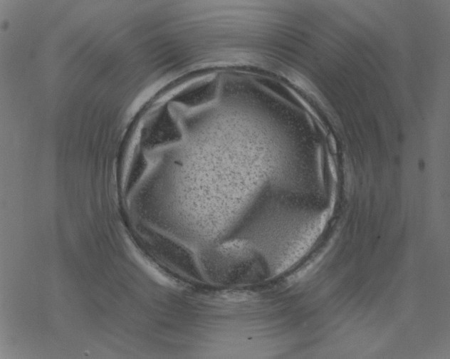 X0000077380842200611101727