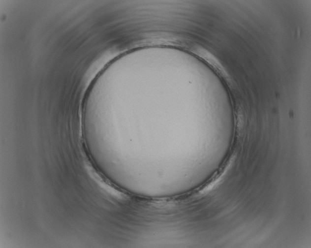 X0000077380844200611101727