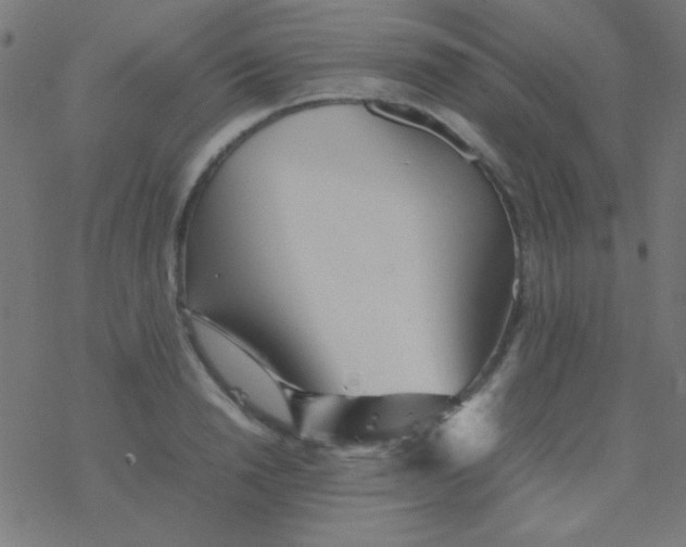 X0000077380846200611101727