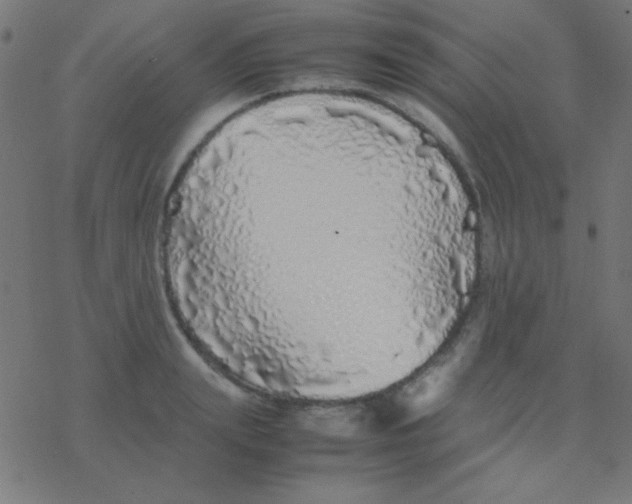 X0000077380847200611101727