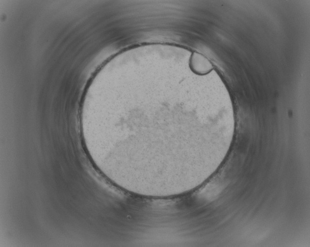 X0000077380848200611101727