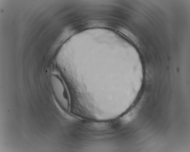 X0000077380849200611101727