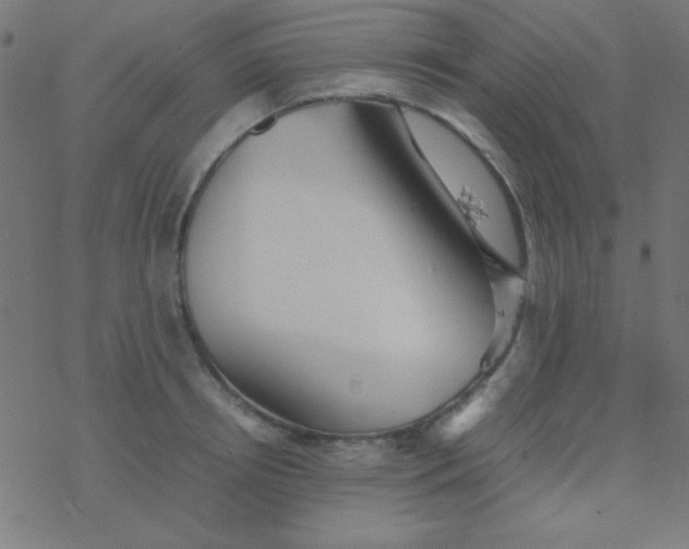 X0000077380850200611101727