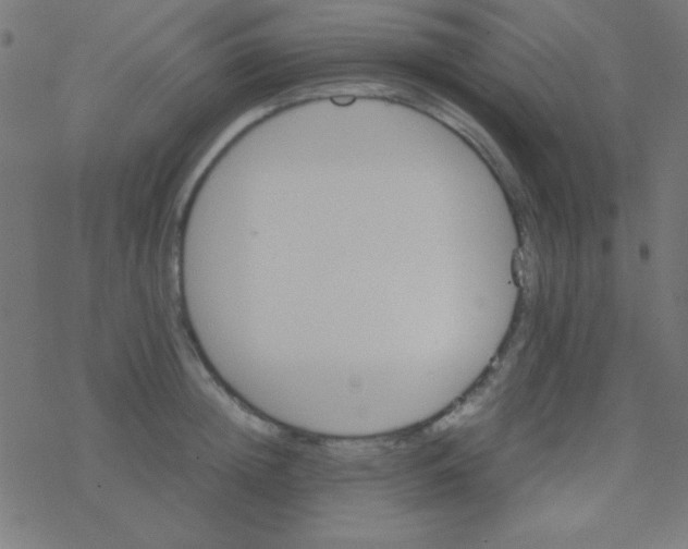 X0000077380852200611101727