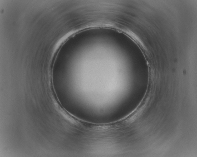 X0000077380854200611101727