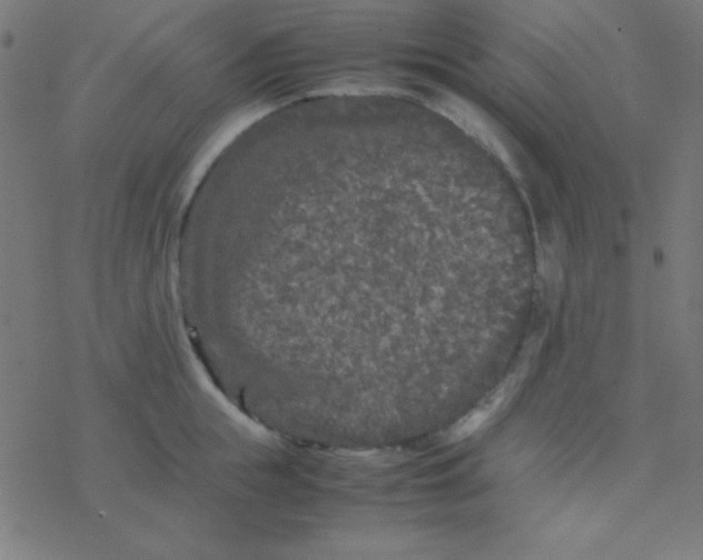 X0000077380855200611101727