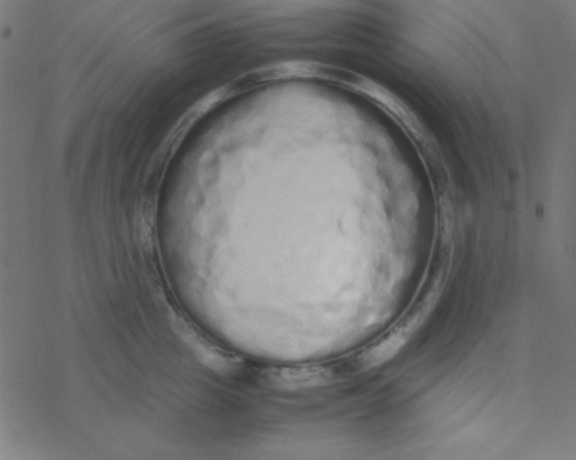 X0000077380857200611101727