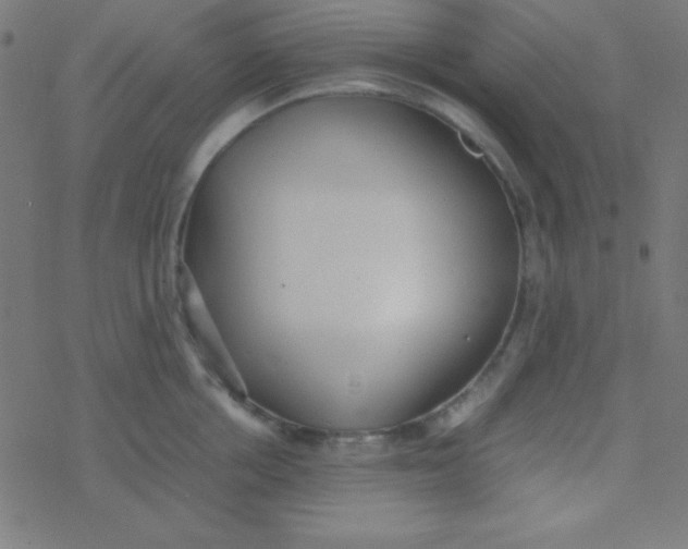 X0000077380858200611101728