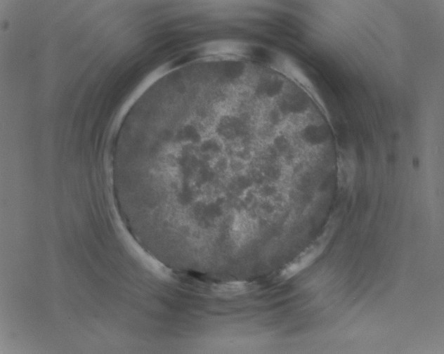 X0000077380859200611101728