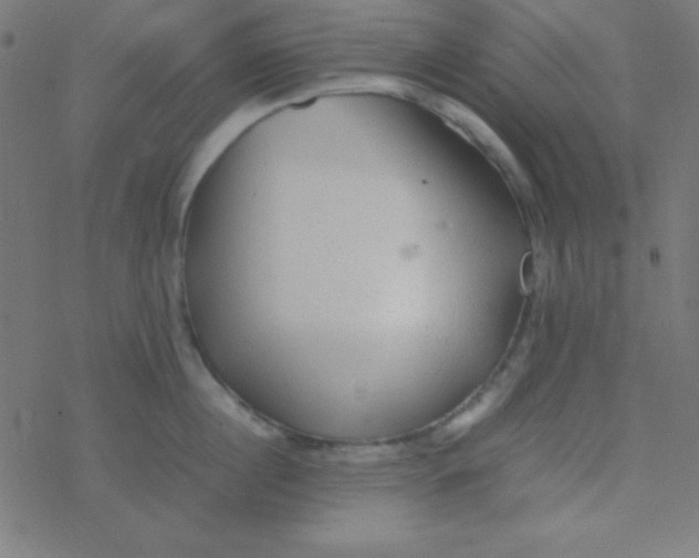 X0000077380860200611101728