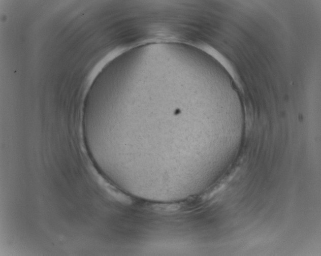 X0000077380861200611101728