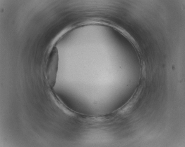 X0000077380862200611101728