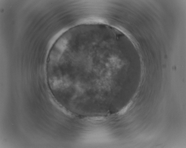 X0000077380864200611101728