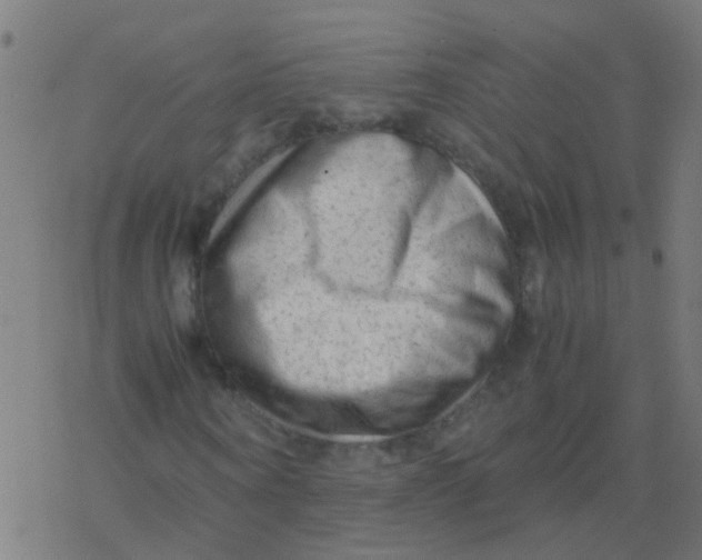 X0000077380866200611101727