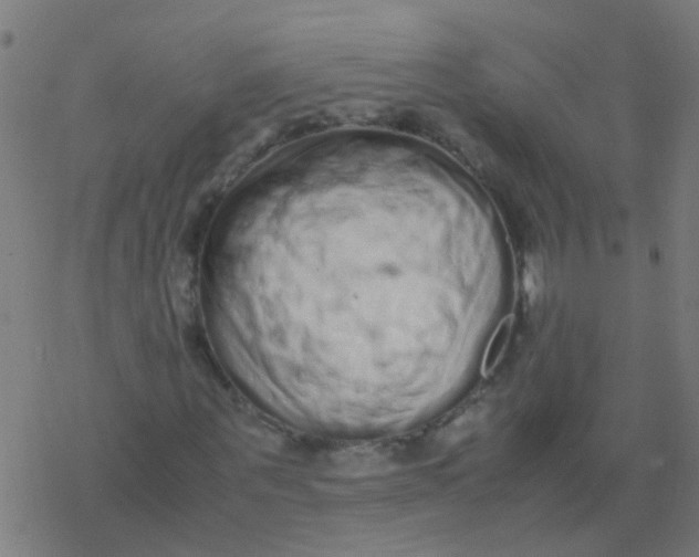 X0000077380867200611101727