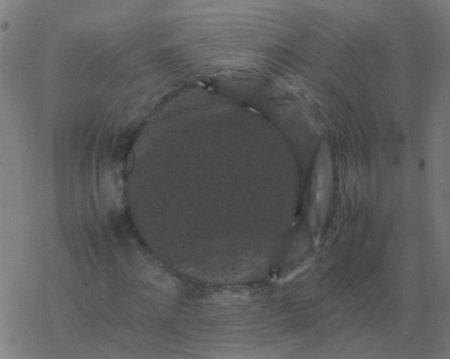 X0000077380868200611101727