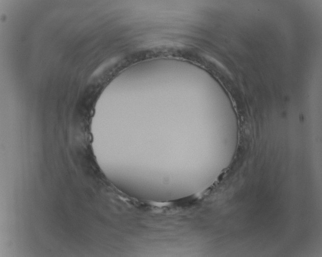 X0000077380869200611101727