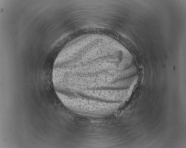 X0000077380870200611101727