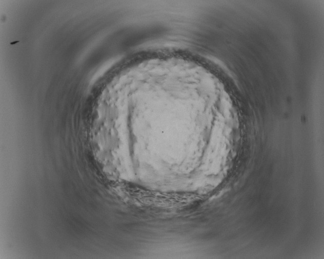 X0000077380871200611101727