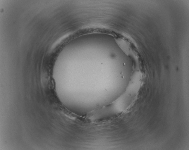 X0000077380872200611101727